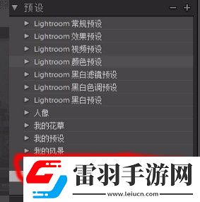 lr怎么设置预设