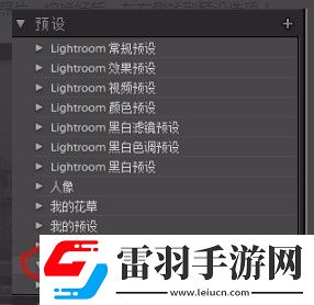 lr怎么设置预设