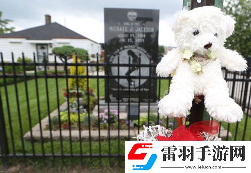 杰克逊逝世五周年各地歌迷纪念方式各有特色