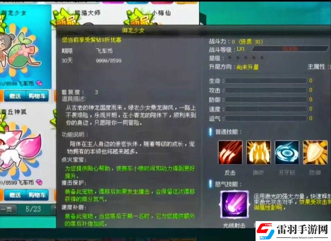 御龙情义赛