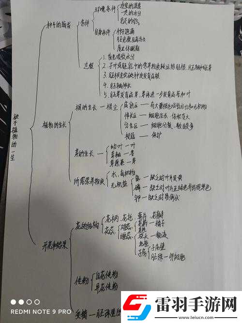 元气偶像季手机中灯泡的出现究竟意味着什么