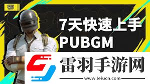 掌握这些绝招