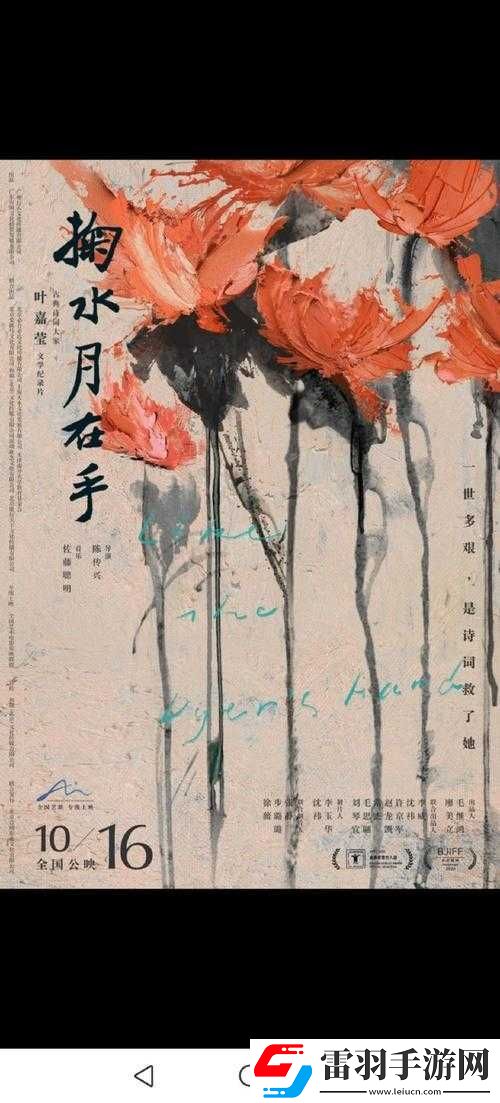 午夜剧场普通用户