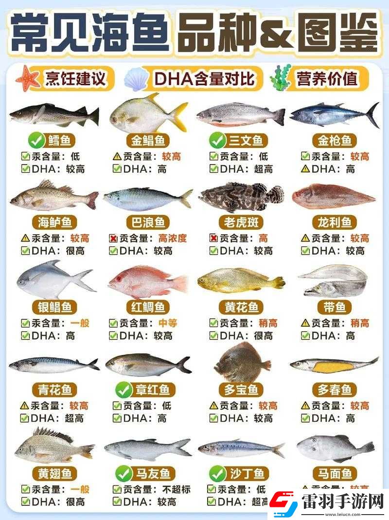 炉石传说