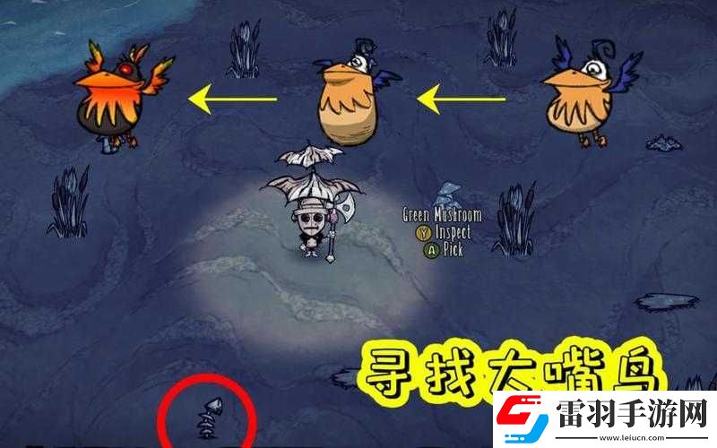 饥荒海难鹈鹕丢失不用慌
