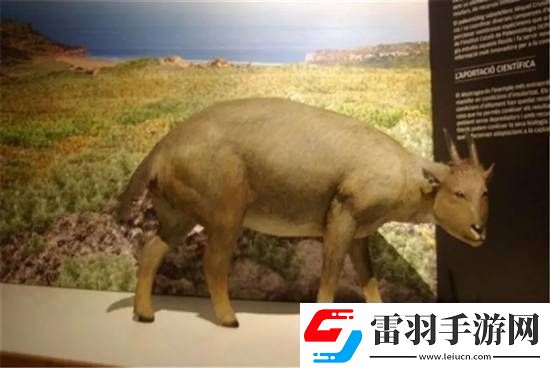 独特的“冷血山羊”长着一张人脸