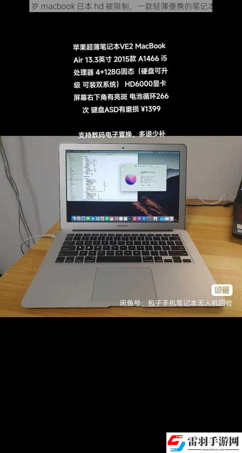 1819岁macbook日本hd被限制一款轻薄便携的笔记本电脑