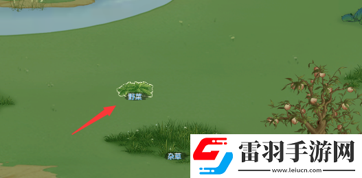 桃源记食物不够怎么办