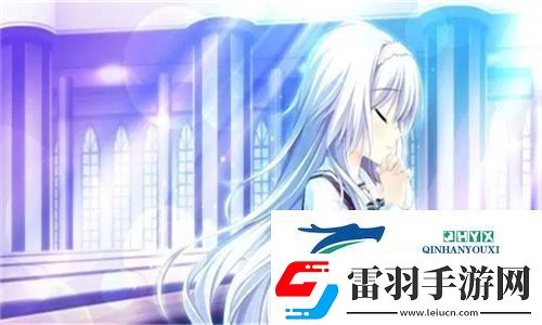 成品视频CRM提升用户体验