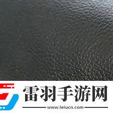 复合牛皮