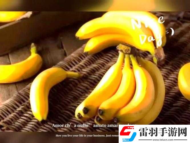 香蕉草莓榴莲黄瓜绿巨