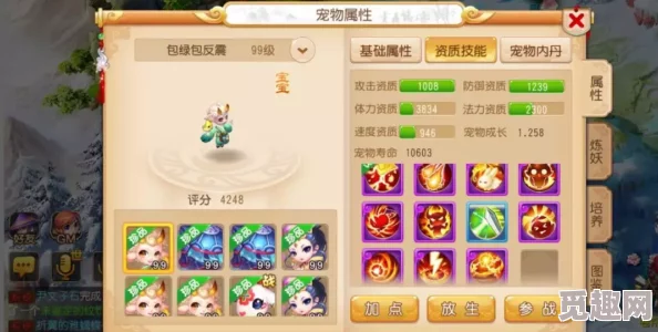 深度解析梦幻西游手游中龟速方寸孩子的实战应用与实用性评估
