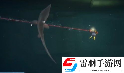 潜水员戴夫探险指南