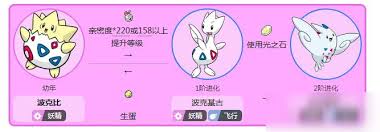 宝可梦剑盾波克基斯