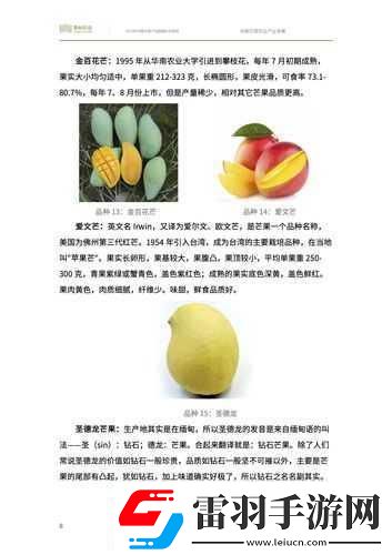 国产四线区芒果