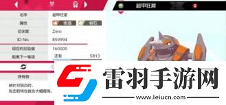 宝可梦剑盾S8双打空间队