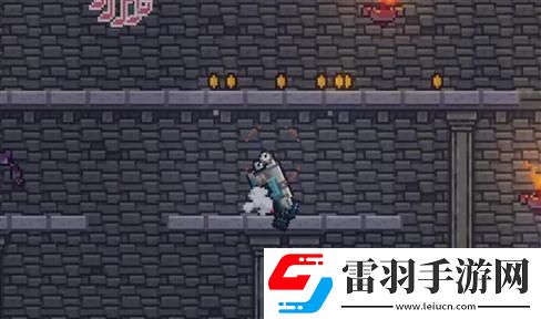 揭秘“鹰击长空攻略”