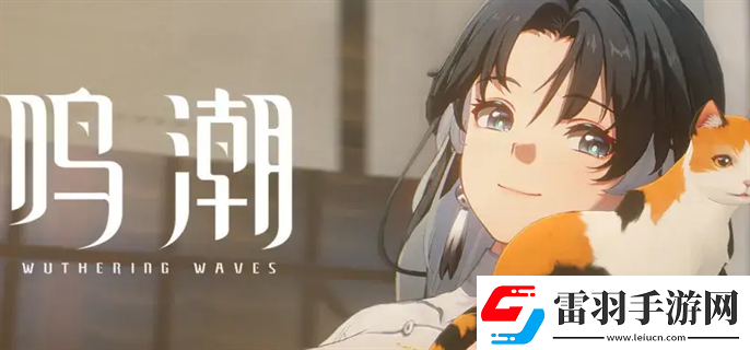 鸣潮1卡池角色有哪些鸣潮1卡池角色介绍