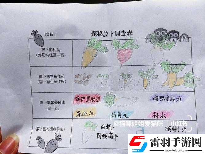 萝卜