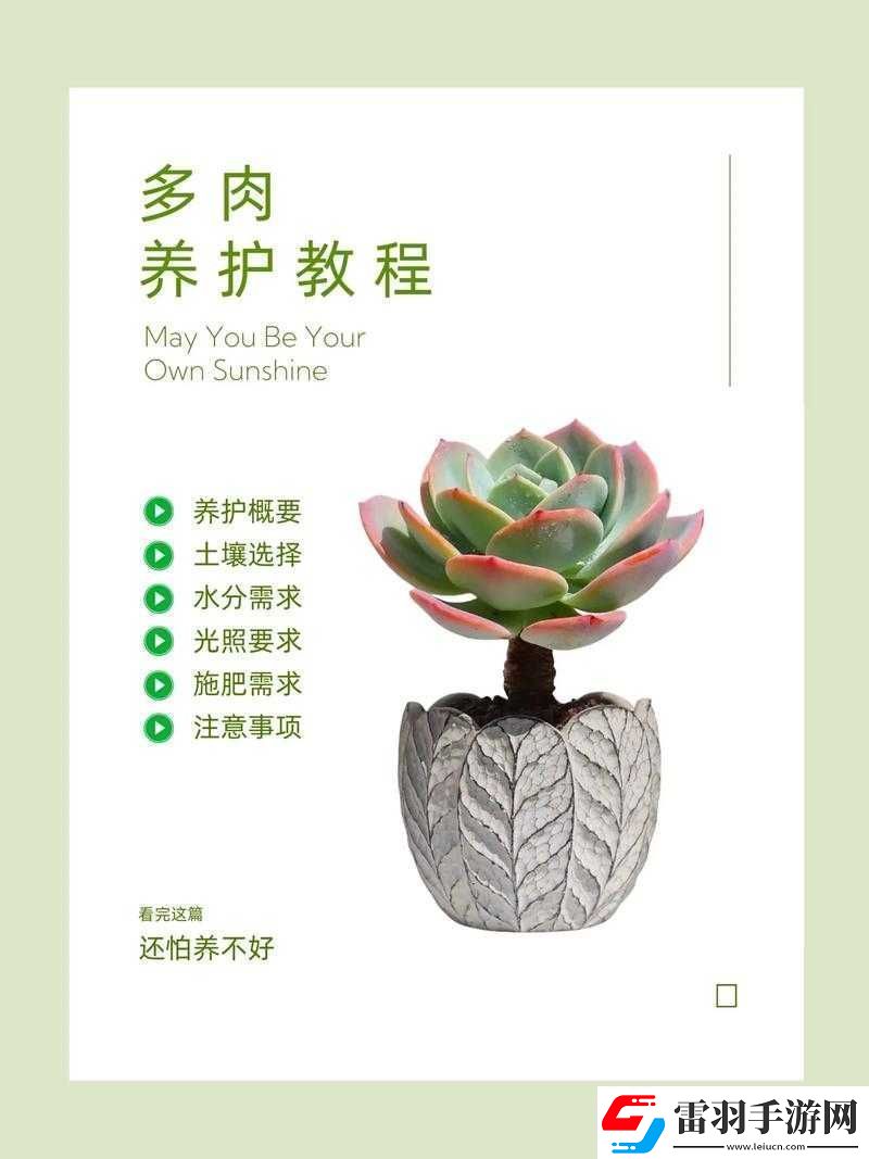 皇家共享小公主多肉怎么养