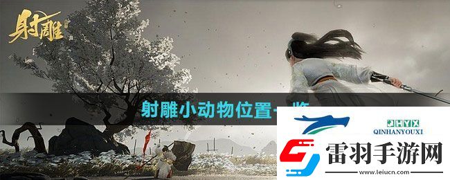 射雕小动物在哪