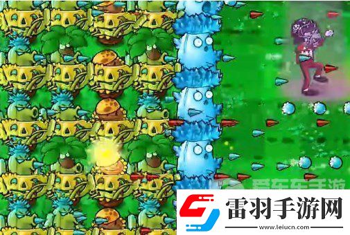 植物大战僵尸杂交版挑战模式第14关怎么过