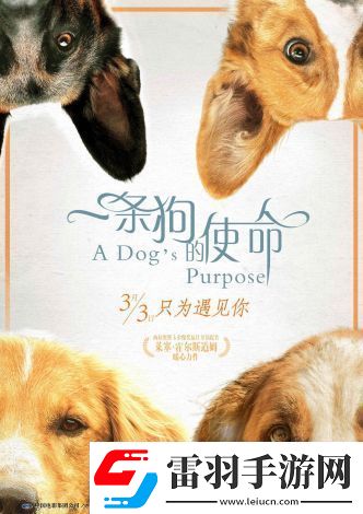狗狗特工队