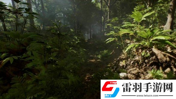 夺宝奇兵