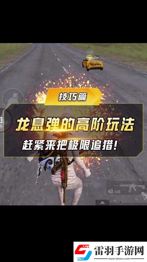 和平精英龙息弹获取及使用方法全解析