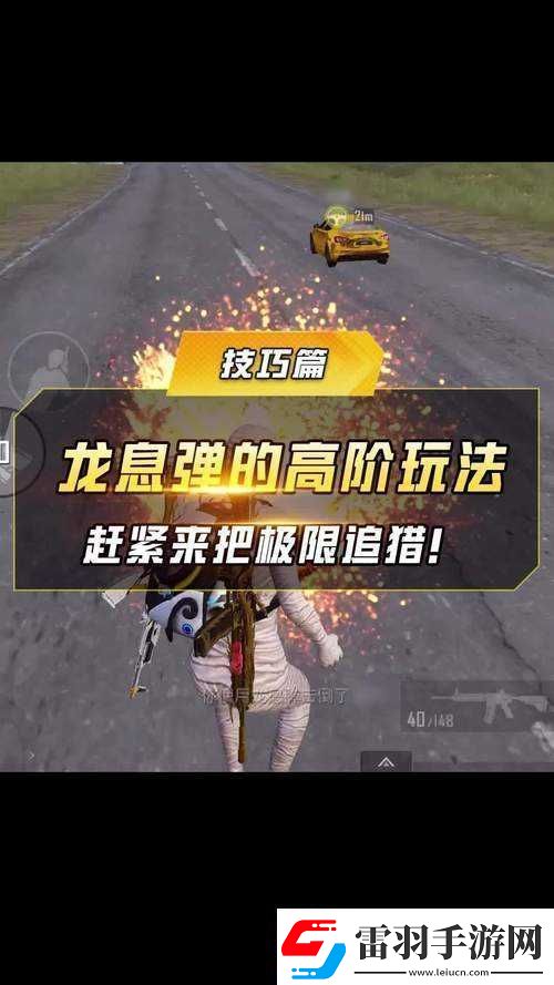 和平精英龙息弹获取及使用方法全解析