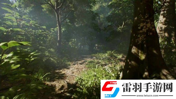 夺宝奇兵