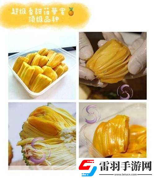 亚精产品一三三菠萝蜜