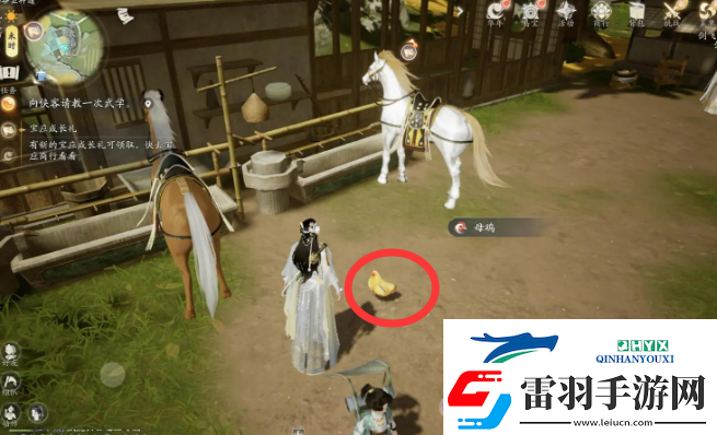 射雕小动物在哪