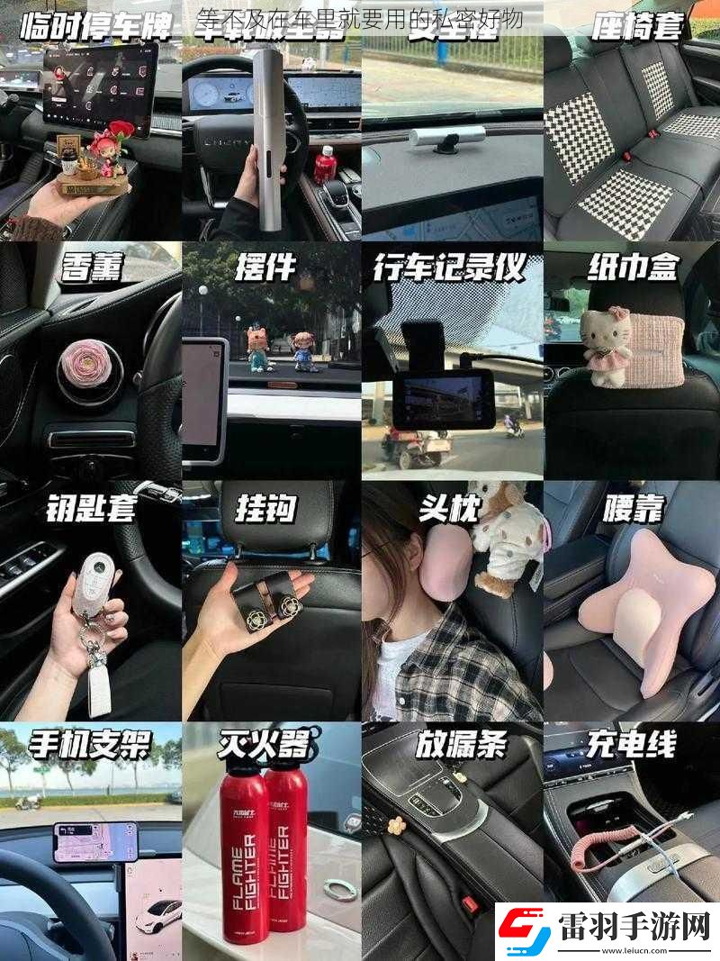等不及在车里就要用的私密好物