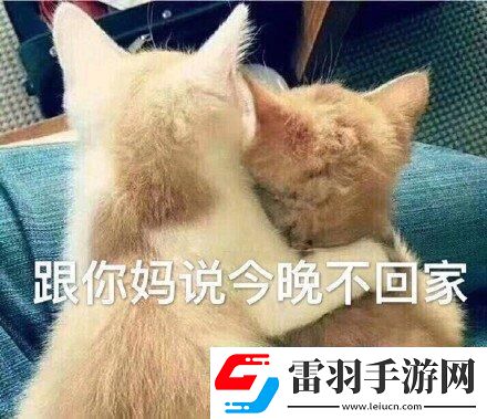 “妈妈说