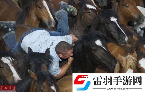 科技界“人马共性”奇观
