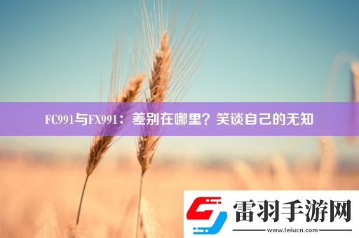 FC991与FX991
