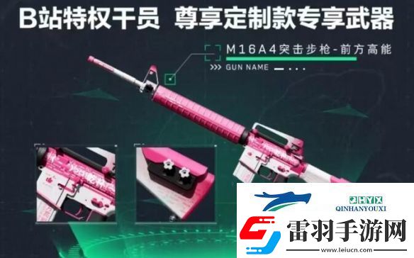 三角洲行动渠道注册皮肤外观有哪些