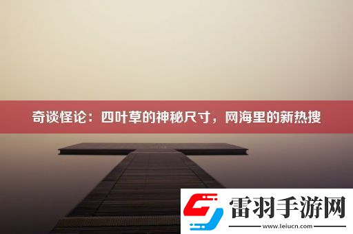奇谈怪论
