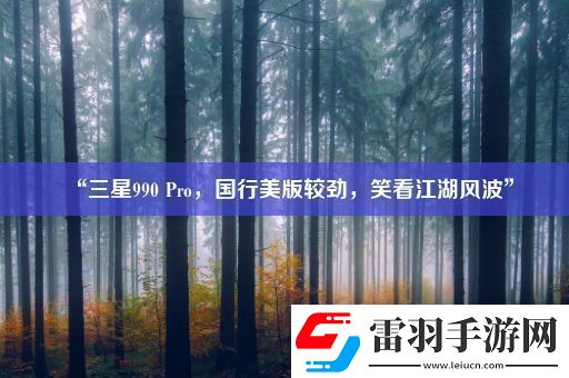 “三星990Pro国行美版较劲笑看江湖风波”