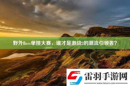 野外Boss单挑大赛