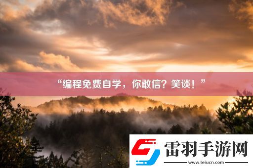 “编程免费自学