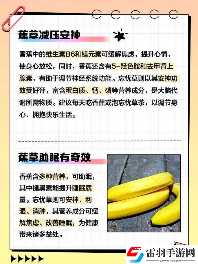香蕉和忘忧草