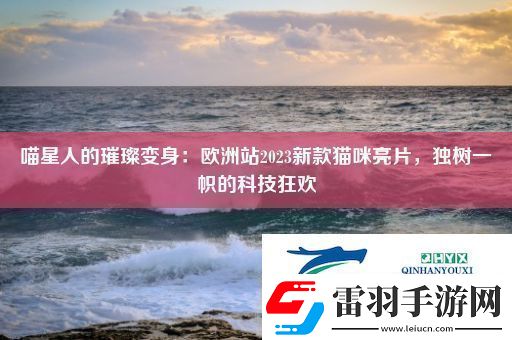 喵星人的璀璨变身