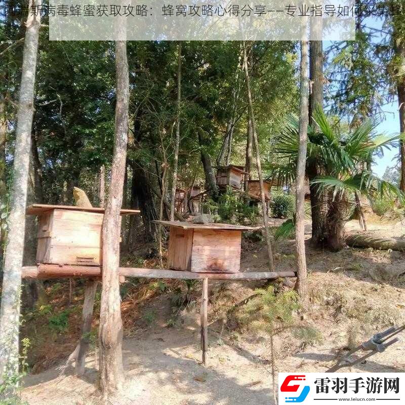 阿瑞斯病毒蜂蜜获取攻略