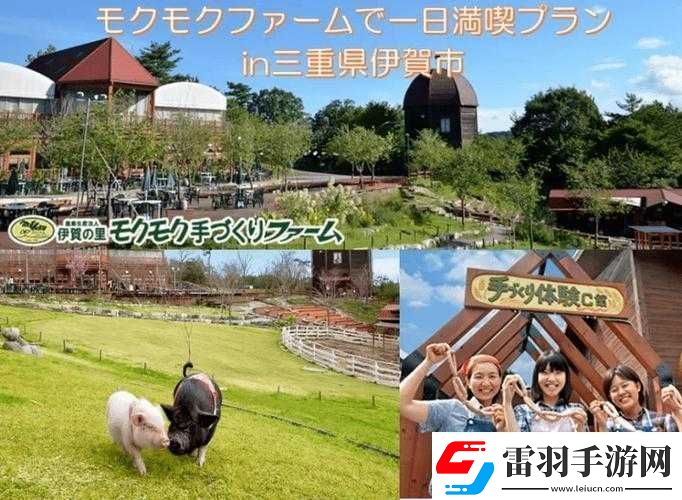 日本母亲农场特色农牧产品