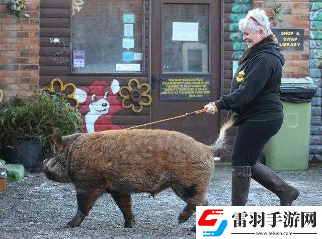 美国