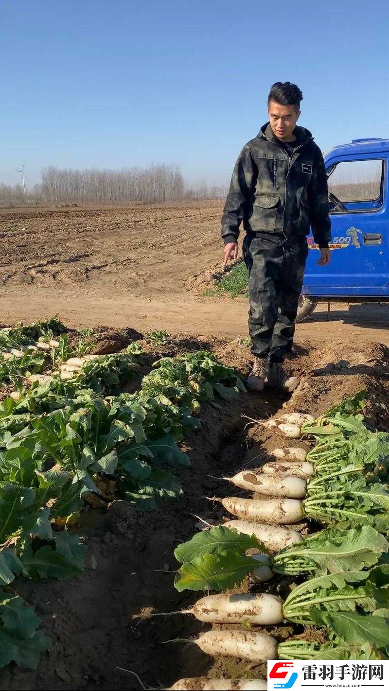 免费拔萝卜直播怎么赚钱