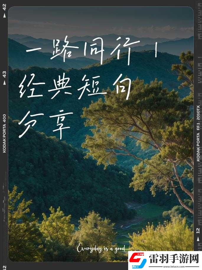 岁岁常欢愉校园