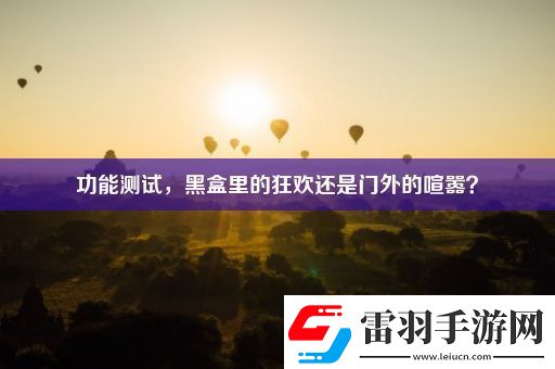 功能测试